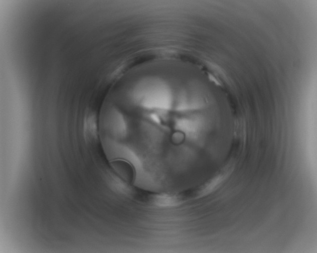 X0000114420238200910231212