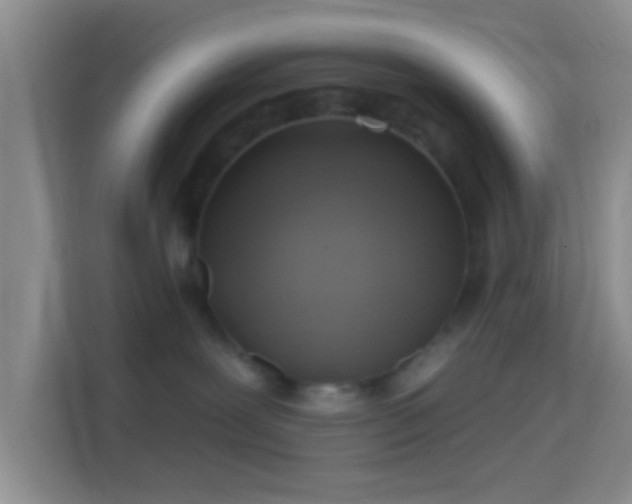 X0000114420239200910231212