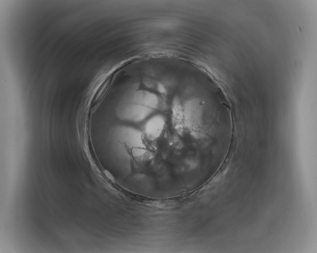 X0000114420241200910231212