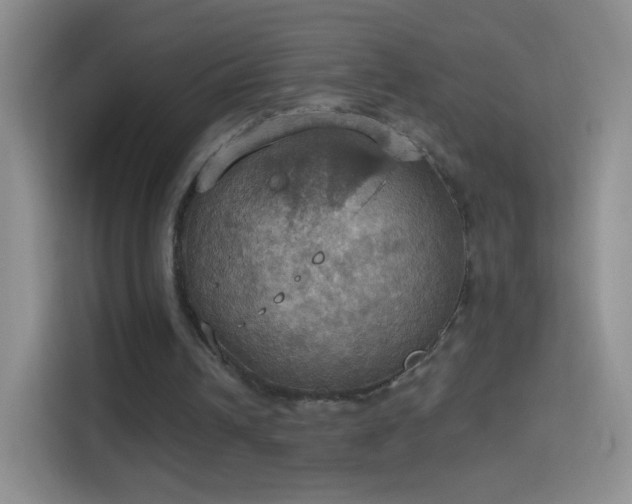 X0000114420242200910231212