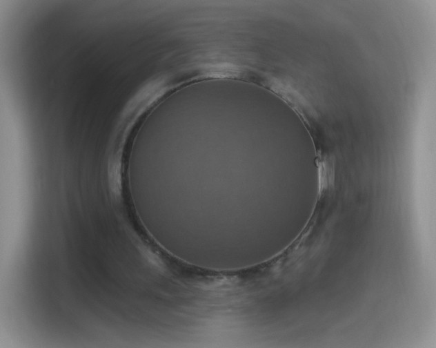 X0000114420243200910231212