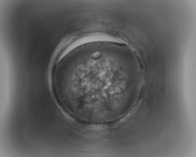 X0000114420245200910231212