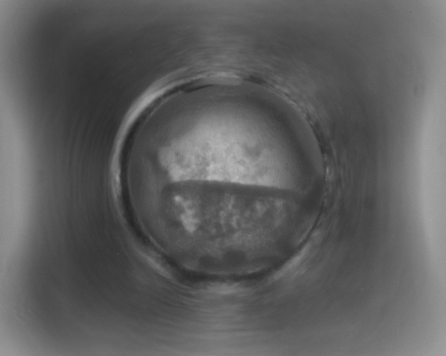 X0000114420246200910231212