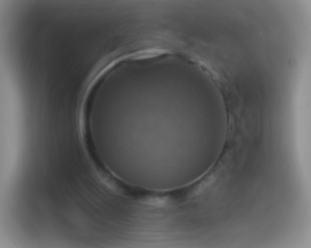 X0000114420247200910231212