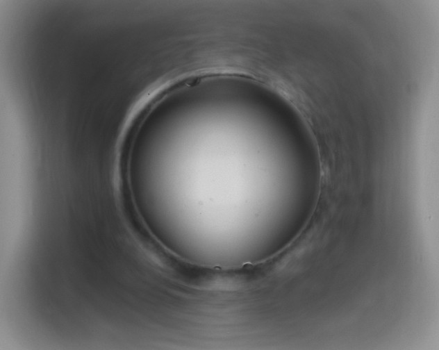 X0000114420248200910231212