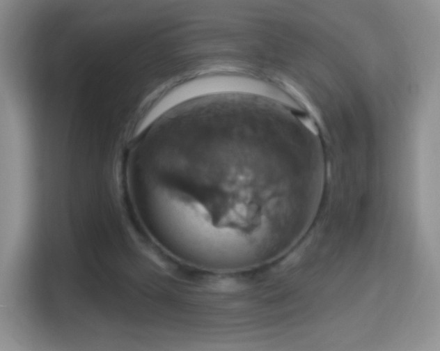 X0000114420249200910231212