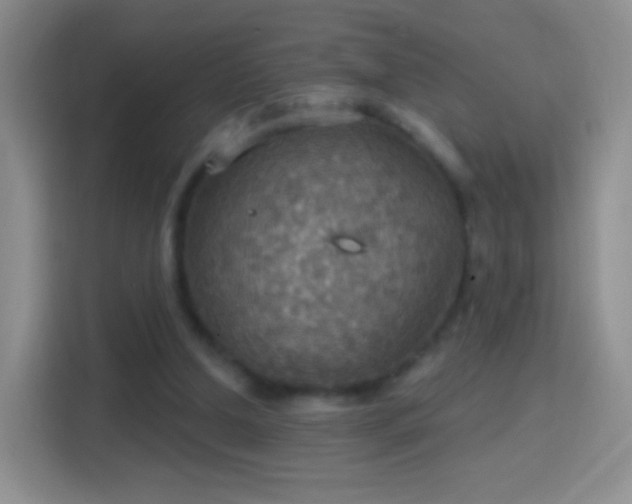 X0000114420250200910231212