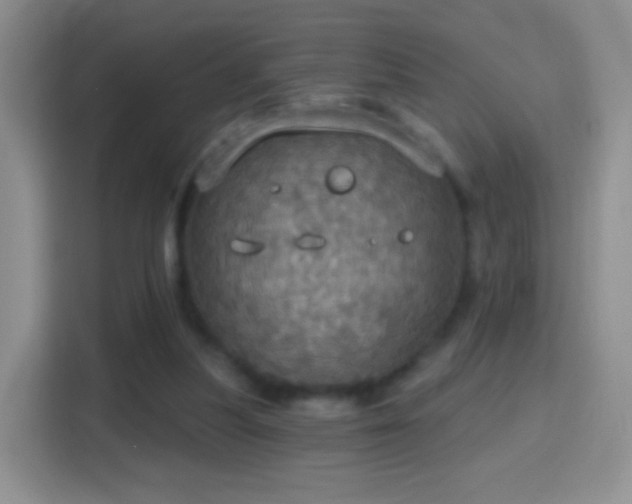 X0000114420251200910231212