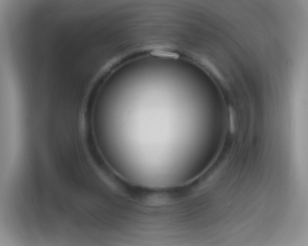 X0000114420252200910231212