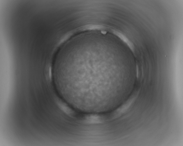 X0000114420253200910231212