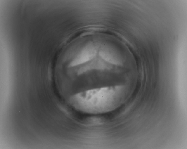 X0000114420255200910231212