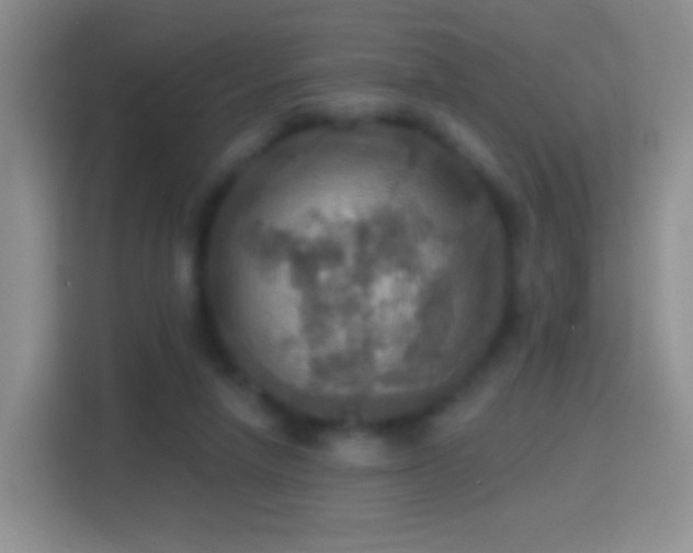 X0000114420258200910231212
