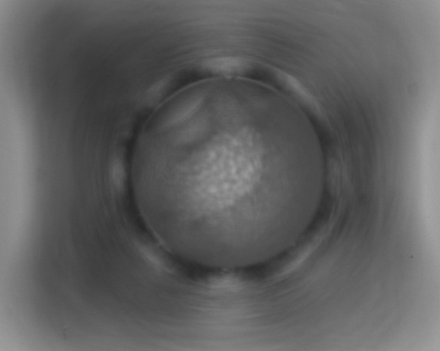 X0000114420259200910231212