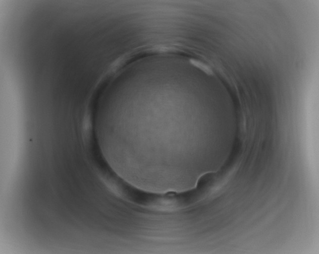 X0000114420260200910231212