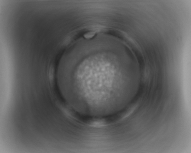 X0000114420263200910231212