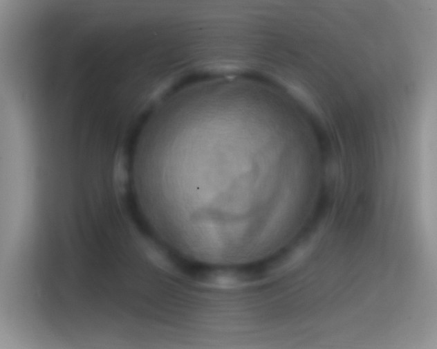 X0000114420264200910231212