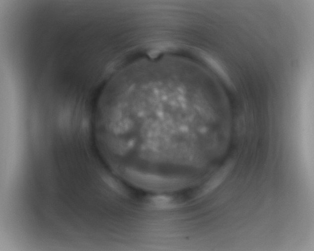 X0000114420265200910231212