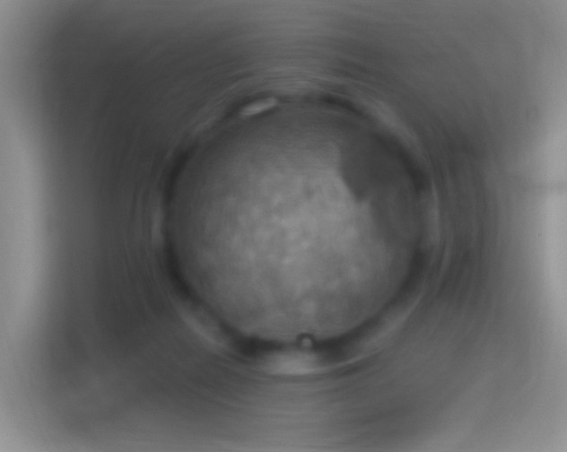 X0000114420266200910231212