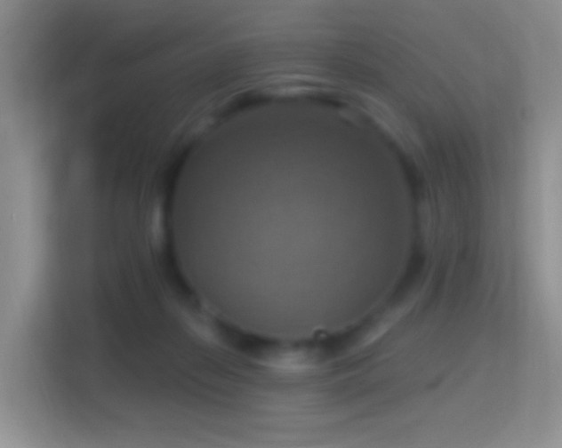 X0000114420267200910231212