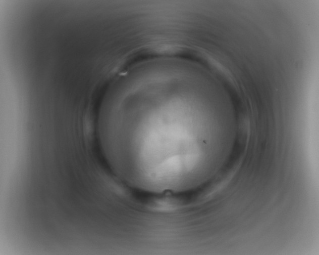 X0000114420268200910231212