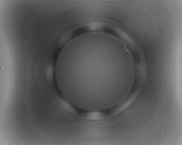 X0000114420269200910231212