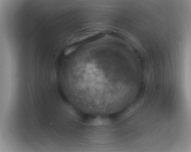 X0000114420270200910231212