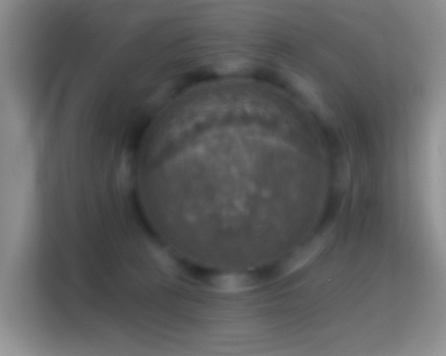 X0000114420273200910231212