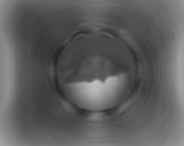 X0000114420274200910231212
