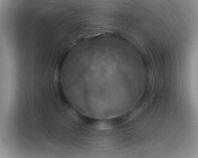 X0000114420275200910231212