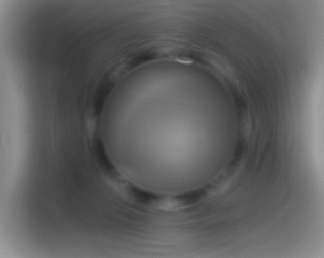 X0000114420276200910231212