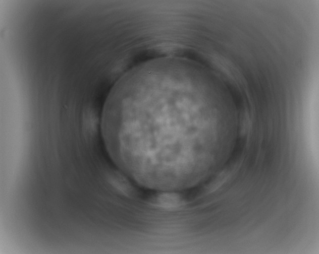 X0000114420279200910231212