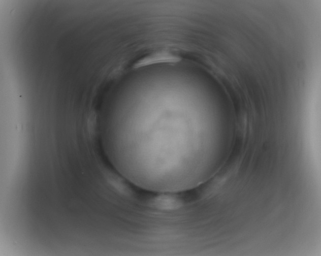 X0000114420280200910231212