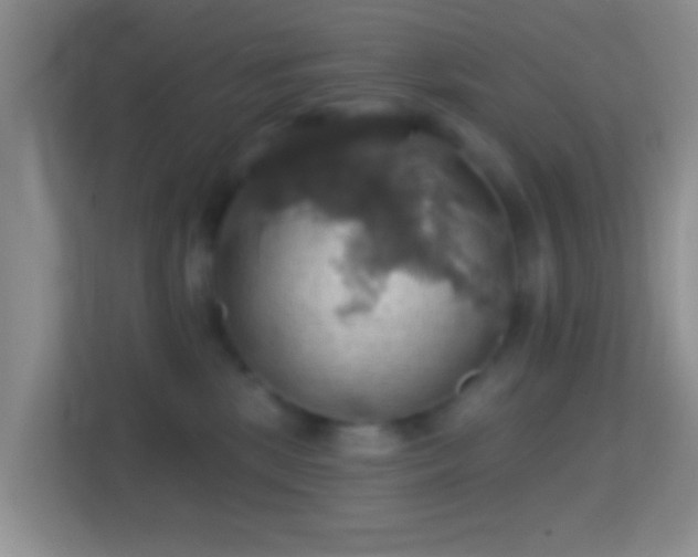 X0000114420281200910231212