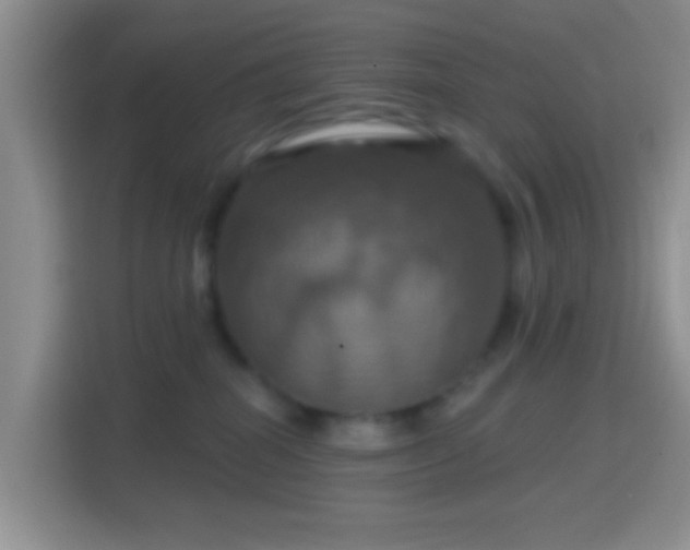 X0000114420282200910231212