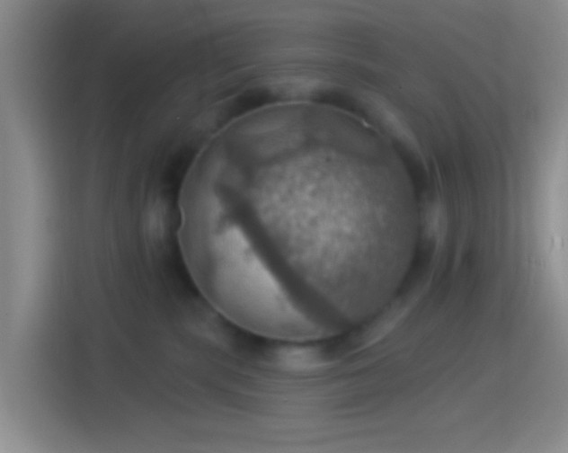 X0000114420283200910231212