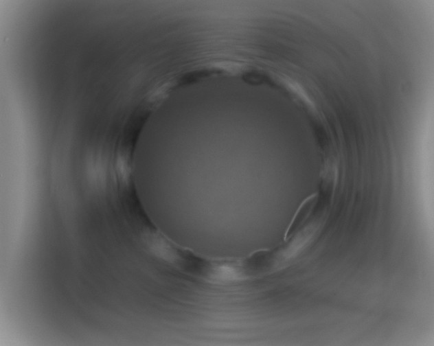 X0000114420285200910231212
