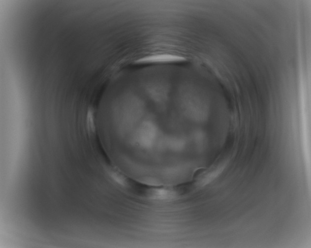X0000114420286200910231212