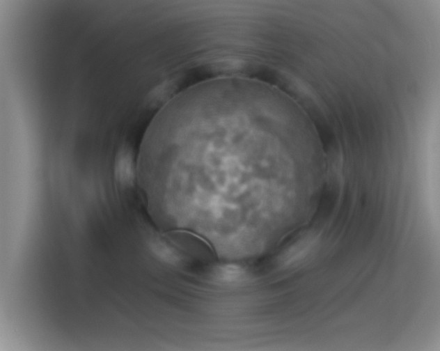 X0000114420287200910231212