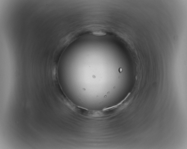 X0000114420288200910231212