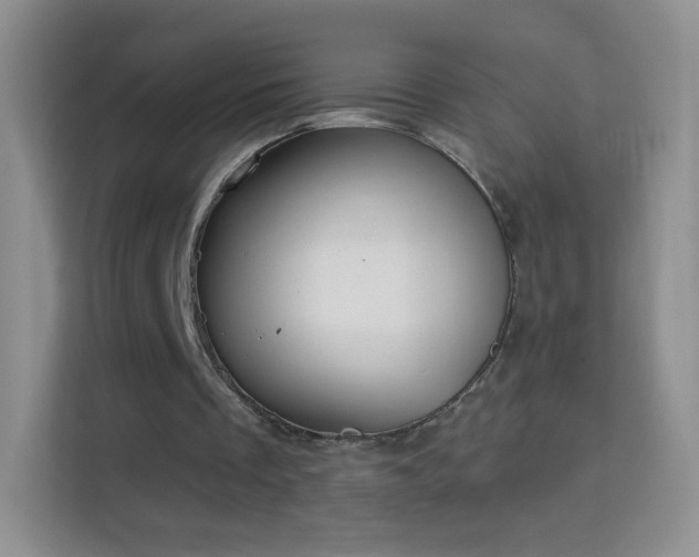 X0000114420289200910231212