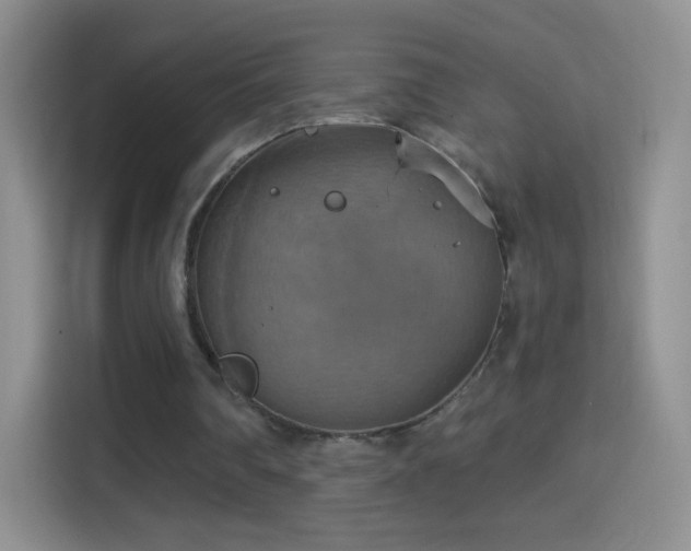 X0000114420290200910231212