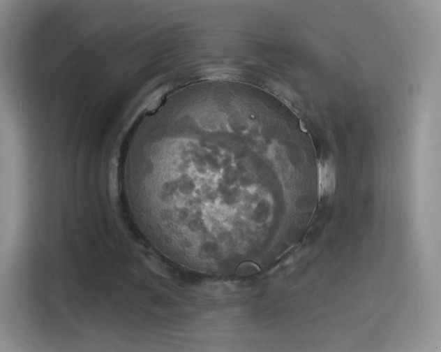 X0000114420291200910231212