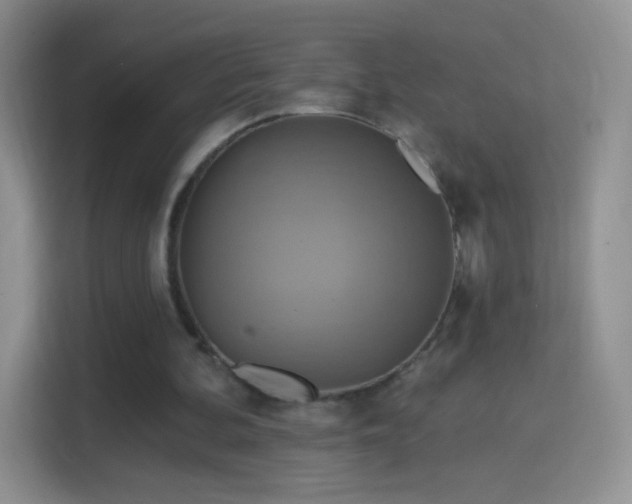 X0000114420292200910231212