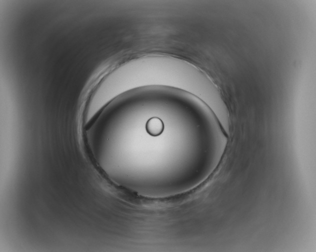 X0000114420293200910231212