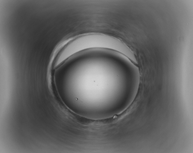 X0000114420294200910231212