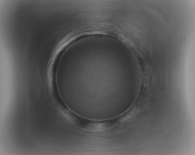 X0000114420295200910231212