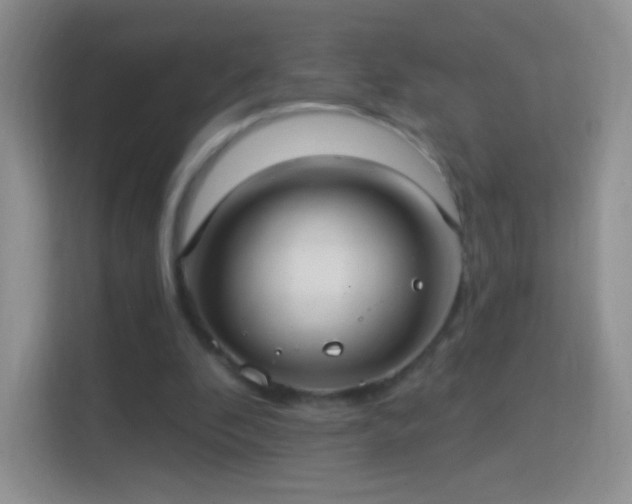 X0000114420296200910231212