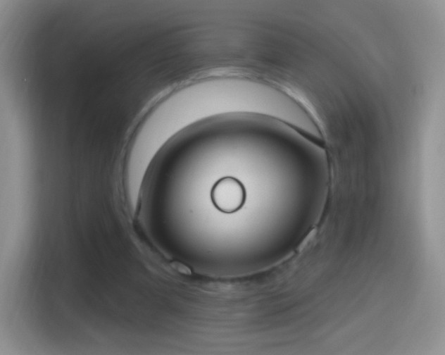 X0000114420297200910231212