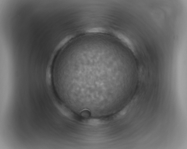 X0000114420298200910231212