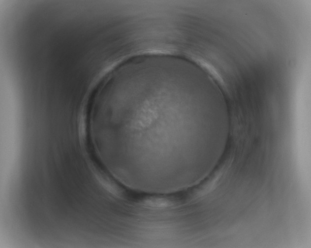 X0000114420299200910231212